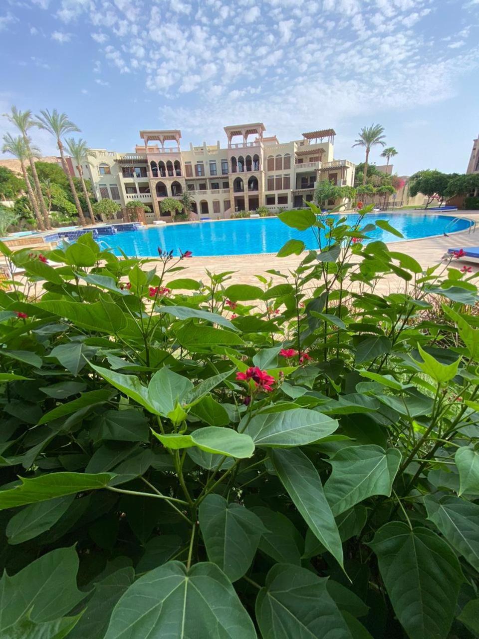 One Bedroom Apartments Aqaba On 2 Swimming Pool Tala Bay Εξωτερικό φωτογραφία